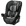 Graco Contender Go