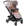 Jane Newel