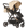 Lejoux+