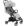 Oyster Pearl 