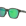 Oakley Shackle