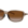 Oakley Cohort