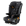 Chicco MyFit ClearTex