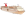 Carnival Ecstacy
