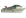 Carnival Pride
