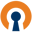 OpenVPN