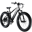 Lectric XPeak
