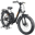 Rad Power RadRover 1