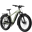 Aventon Aventure 3 Step-Over