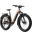 Aventon Aventure 3 Step-Through
