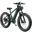 Heybike Brawn
