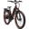 Rad Power Radster Trail