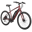 Schwinn Regent