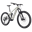 Transition Regulator CX