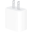 Apple 20W
