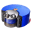 Dyson 360 Heurist