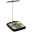 InBody H20