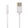 Xplora XGO2