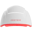 iRESTORE Professional