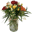 Bloom Nation