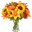 Proflowers