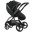 egg3