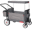 Radio Flyer Odyssey