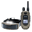 Dogtra 1900X 