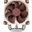 Noctua NH-U9S