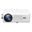 VANKYO Leisure 495W