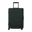 JULY Checked Expandable
