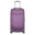 Samsonite Theorym