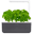 Click & Grow Smart Garden 3