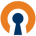 OpenVPN