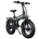 EMotorad Doodle Pro