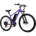 Qlife Racer Step Over