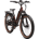 Rad Power Radster Trail