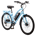 Schwinn EC1