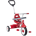 Radio Flyer 3-in-1 Stroll 'N Trike