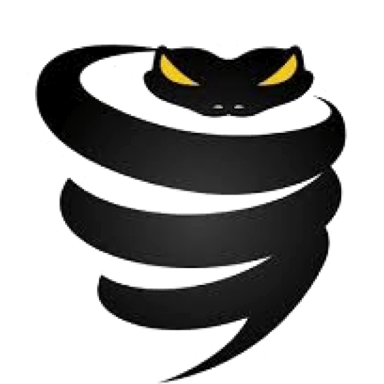 VyprVPN 