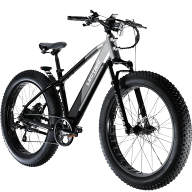 Lectric XPeak