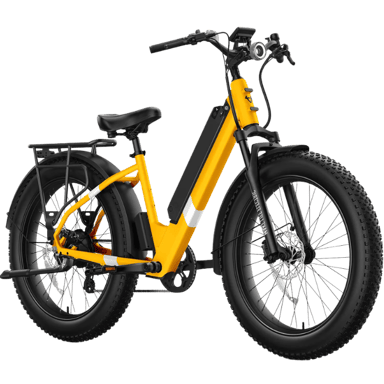NIU BQi Fat Tire 300 (Step‐through)