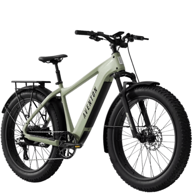 Aventon Aventure 3 Step-Over