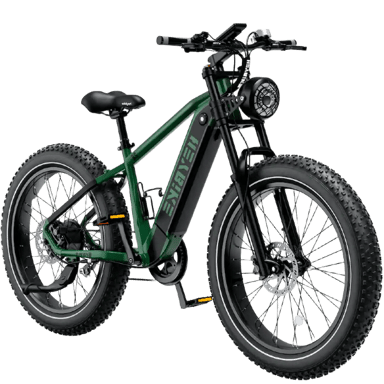 Heybike Brawn