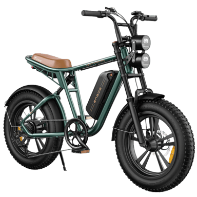 ENGWE M20