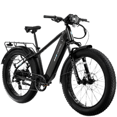 Lectric XPeak2 High-Step