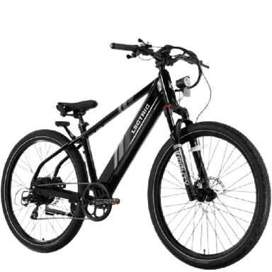 Lectric XPress 750 High-Step