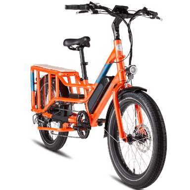 Rad Power RadWagon 4