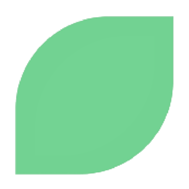 VIVA Finance