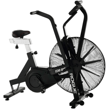 Rogue Echo Bike V3.0